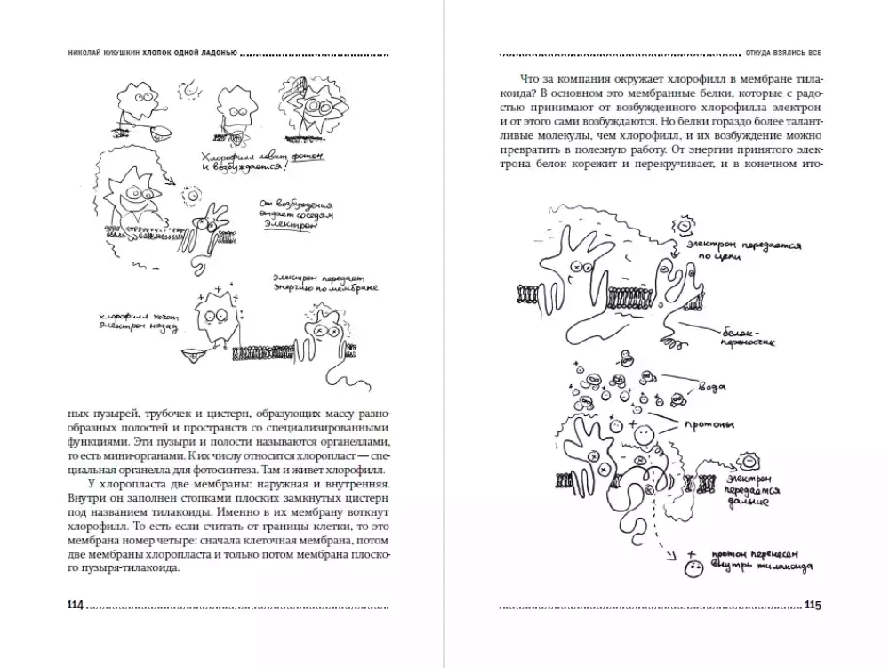 Vienos delnos garsas: Kaip negyva gamta sukūrė žmogaus protą