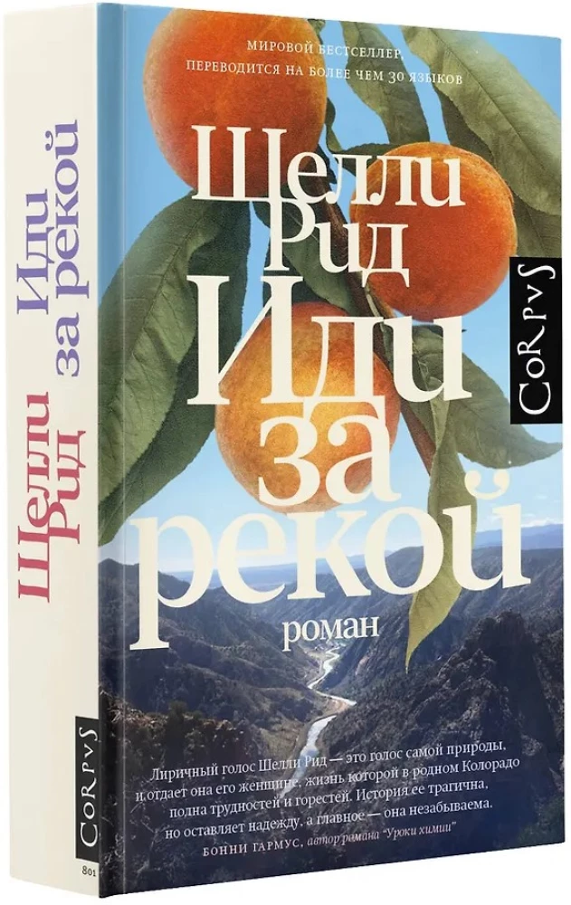 Иди за рекой: роман