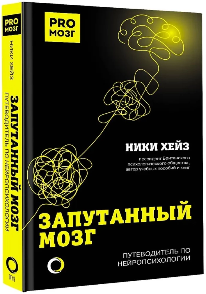 Запутанный мозг. Путеводитель по нейропсихологии