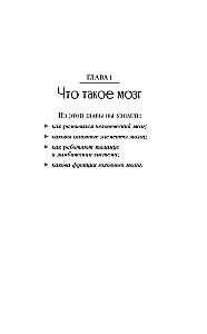 Запутанный мозг. Путеводитель по нейропсихологии
