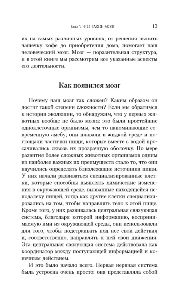 Запутанный мозг. Путеводитель по нейропсихологии
