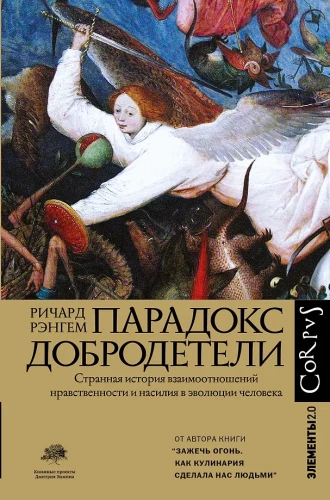 Dorybės paradoksas