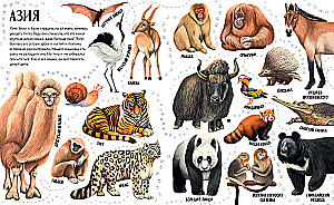 Приключения улитки Элли в мире животных