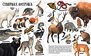 Приключения улитки Элли в мире животных