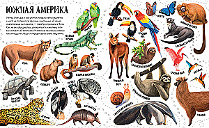 Приключения улитки Элли в мире животных