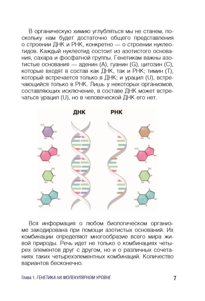 Genetics for Beginners Explained