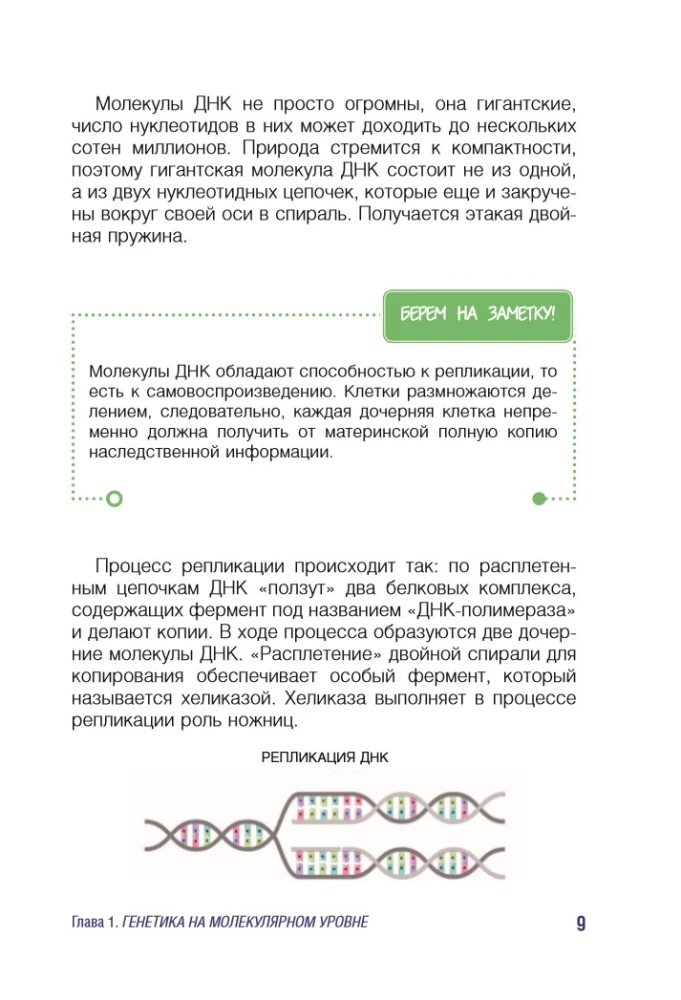 Genetics for Beginners Explained