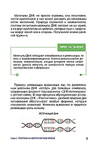 Genetics for Beginners Explained