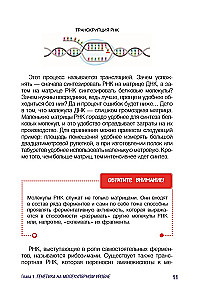 Genetics for Beginners Explained