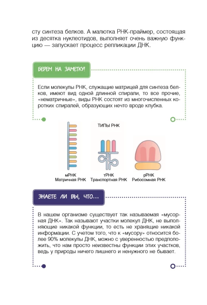 Genetics for Beginners Explained