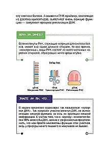 Genetics for Beginners Explained