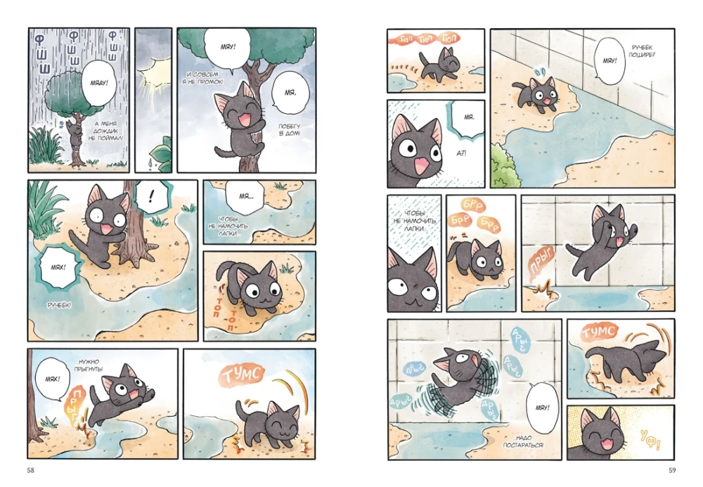 Siū ir Taikičius. Knyga 5