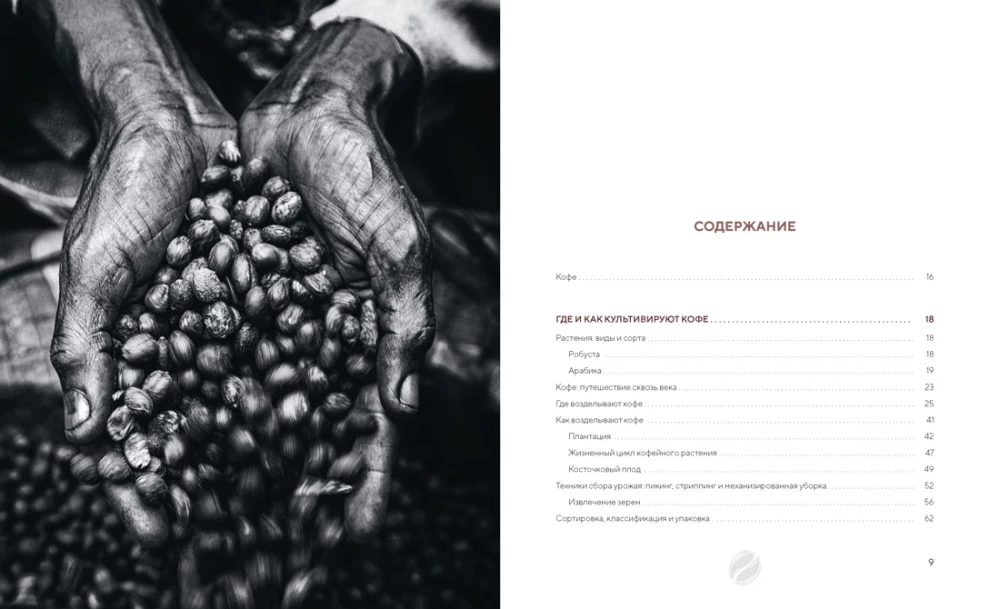 The Philosophy of Coffee. From Bean to Perfect Drink