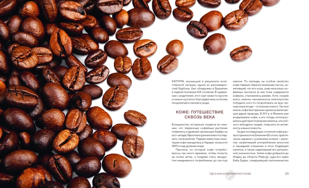The Philosophy of Coffee. From Bean to Perfect Drink