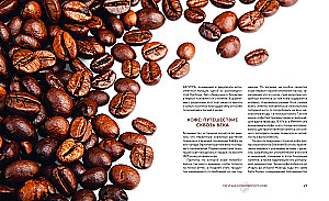 The Philosophy of Coffee. From Bean to Perfect Drink