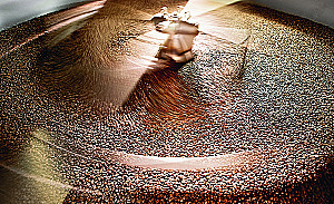 The Philosophy of Coffee. From Bean to Perfect Drink