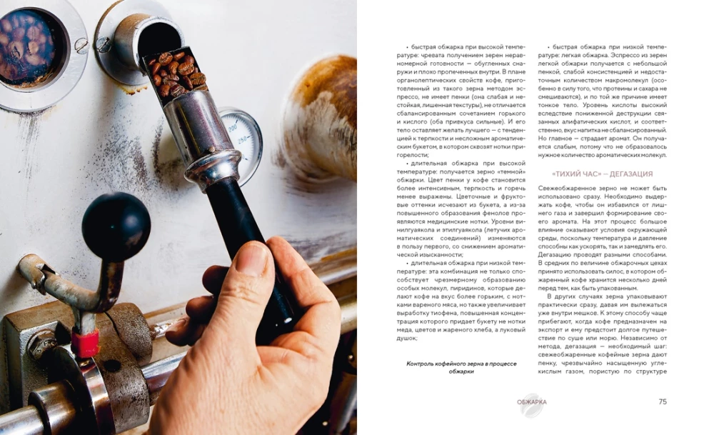 The Philosophy of Coffee. From Bean to Perfect Drink