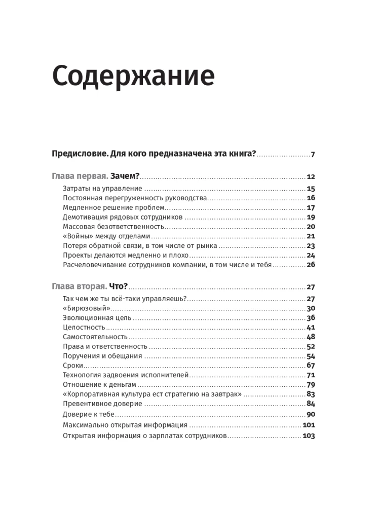 Turquoise Management in Practice: Experience of Russian Companies