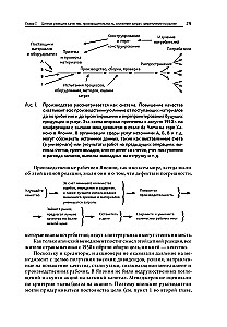 Выход из кризиса: Новая парадигма управления людьми, системами и процессами