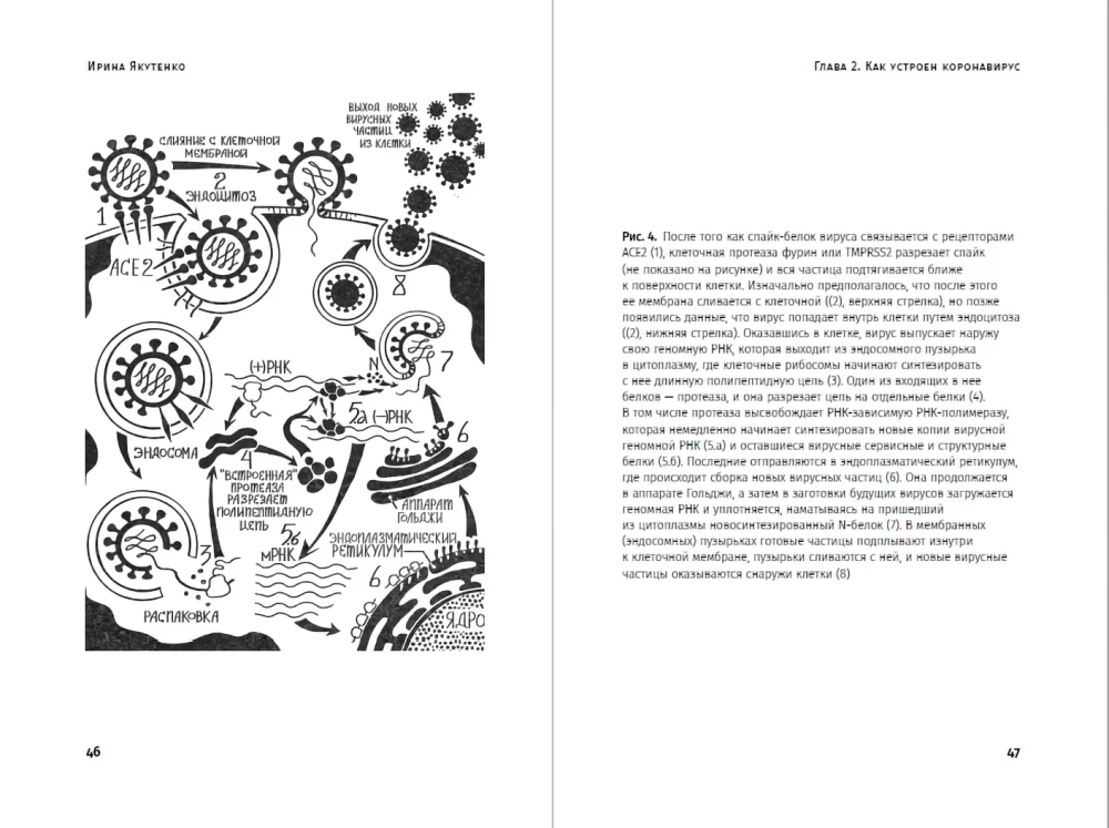The Virus That Broke the Planet: Why SARS-CoV-2 is So Special and What We Should Do About It