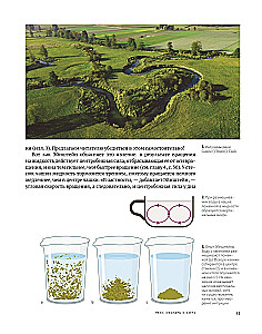 Fizika ikdienā: no ziepju burbuļiem līdz kvantu tehnoloģijām