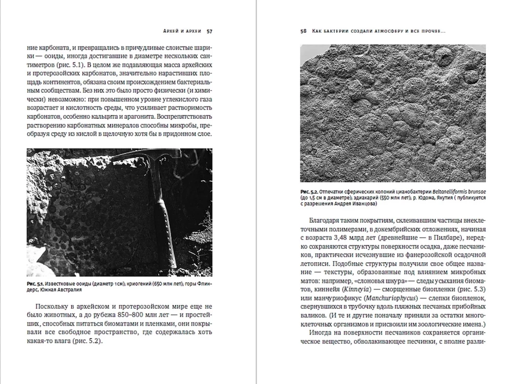 Žemės sukūrimas: Kaip gyvosios organizmai sukūrė mūsų pasaulį