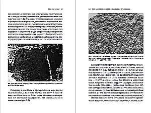 Žemės sukūrimas: Kaip gyvosios organizmai sukūrė mūsų pasaulį