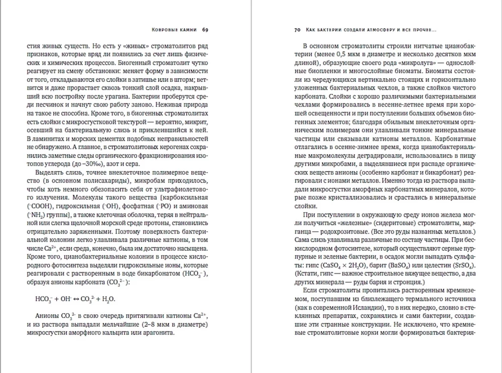 Žemės sukūrimas: Kaip gyvosios organizmai sukūrė mūsų pasaulį