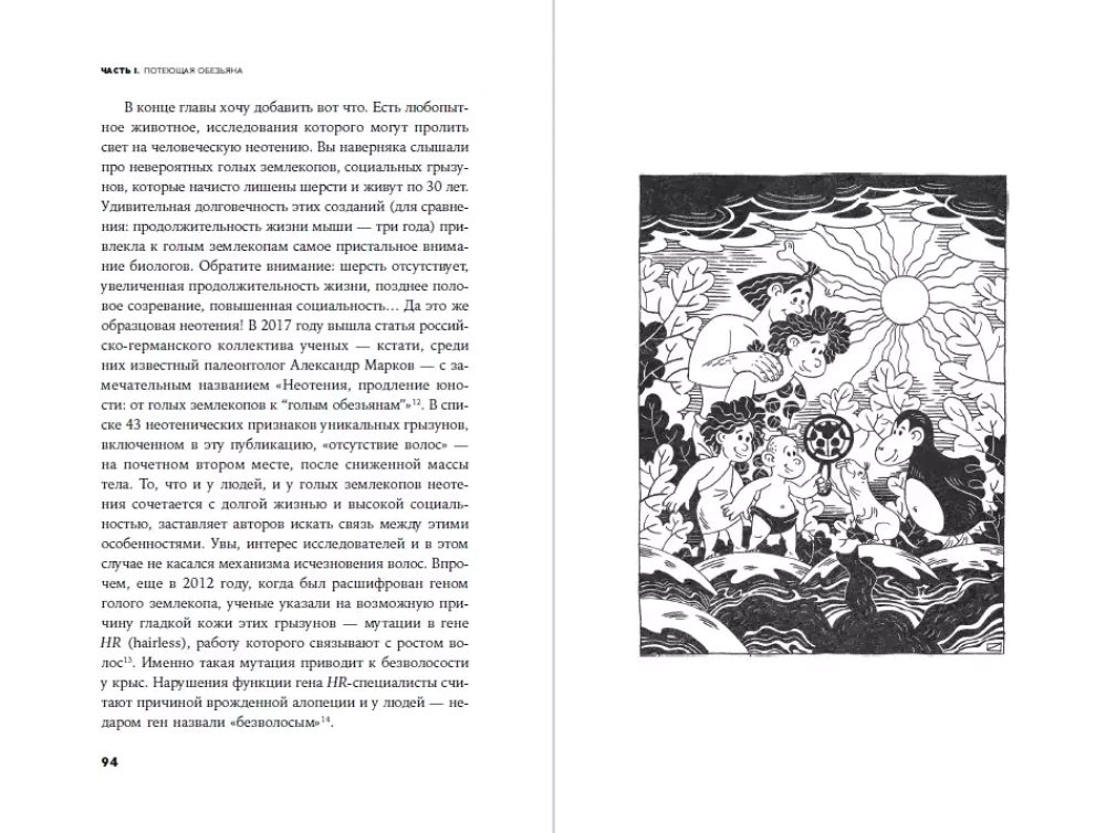 Strange Monkey: Where Did the Fur Go and Why Are People of Different Colors