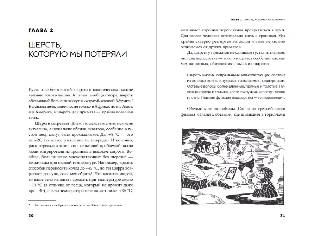 Strange Monkey: Where Did the Fur Go and Why Are People of Different Colors