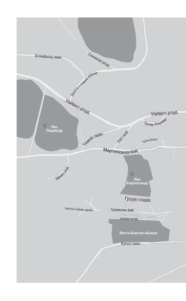 Hea tüdruk, halb veri