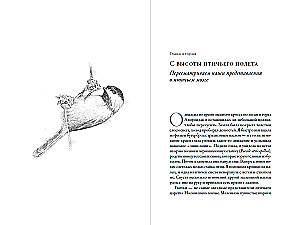 Эти гениальные птицы