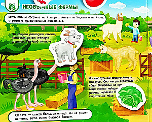 On the Farm. A Book with Velcro