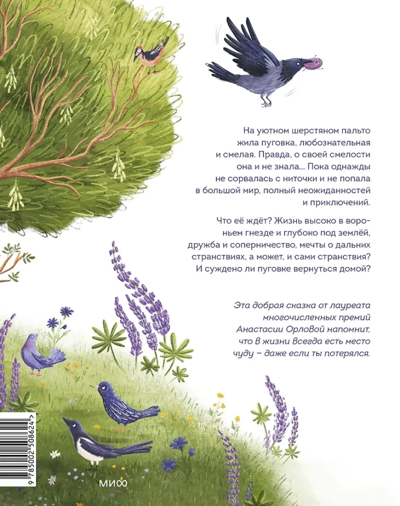 The Button That Got Lost