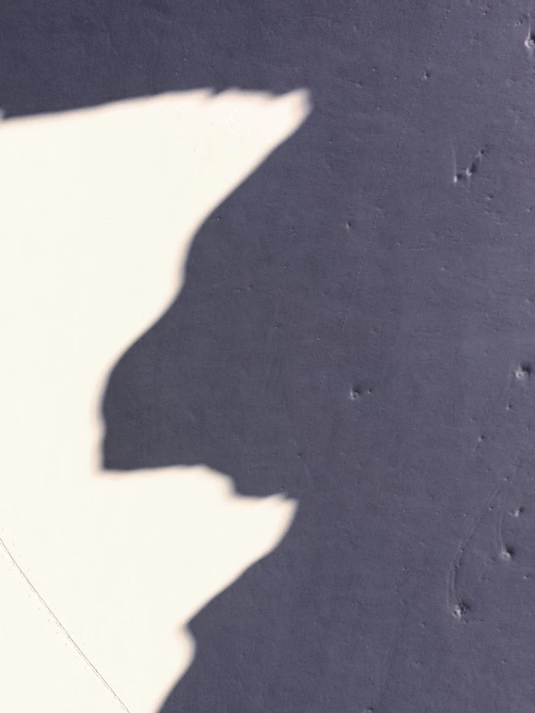 From Edge to Edge. Captivating Expeditions in the Photos of a National Geographic Photographer