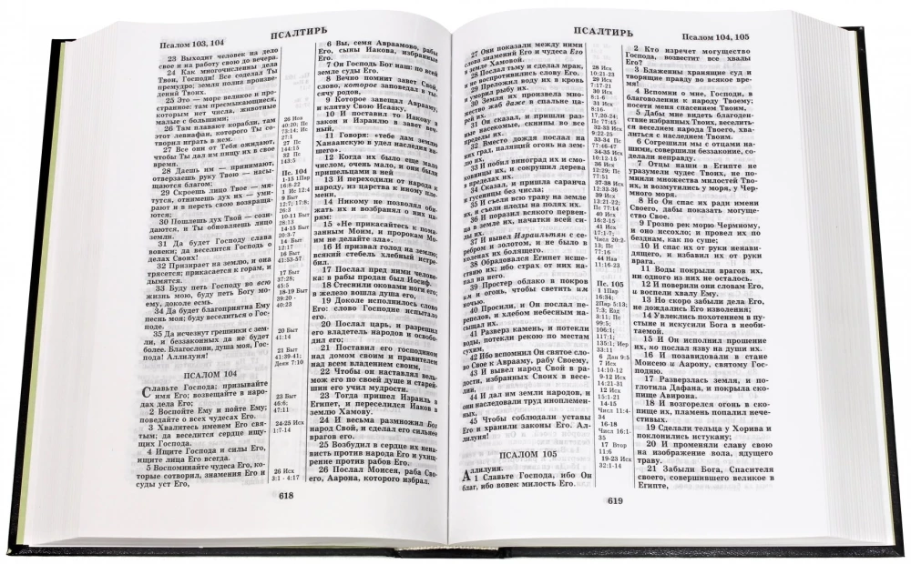 Biblia. Księgi Świętych Pism Starego i Nowego Testamentu