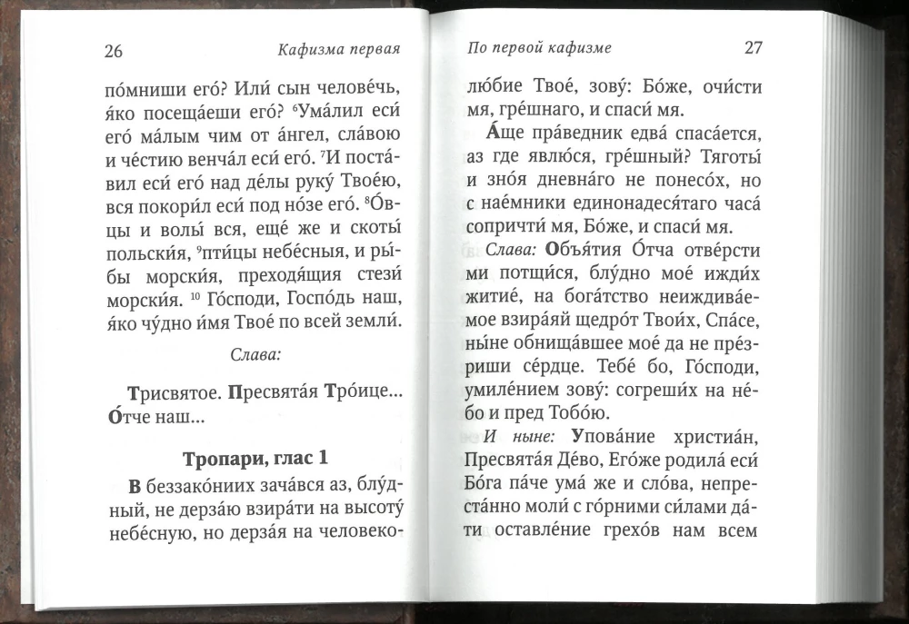 Dāvida pravieša Psalteris ar psalmu lasīšanas norādēm svētā Arsenija Kapadokieša un svētā Paisija Svētā kalna mācībām