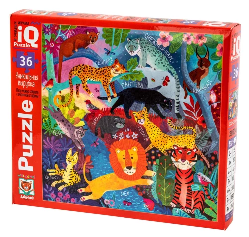 IQ Puzzle:36 - Wild Cats