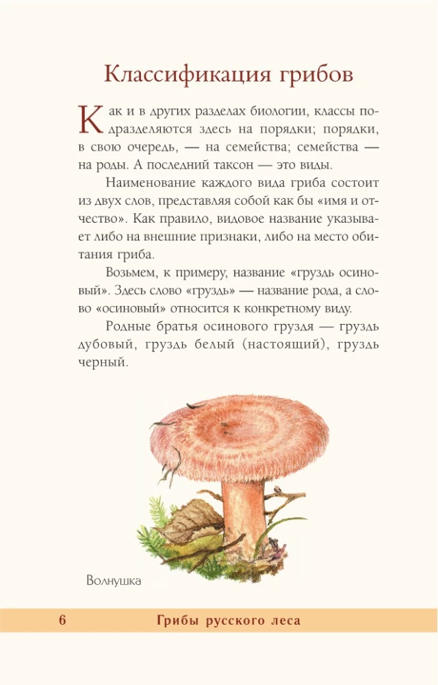 Grzyby rosyjskiego lasu. Ilustrowany przewodnik