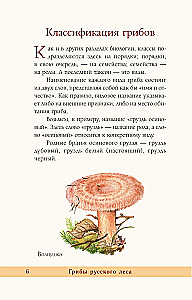 Grzyby rosyjskiego lasu. Ilustrowany przewodnik