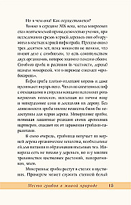 Grzyby rosyjskiego lasu. Ilustrowany przewodnik