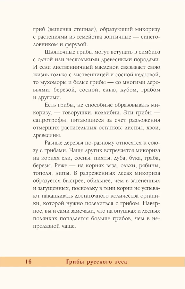 Grzyby rosyjskiego lasu. Ilustrowany przewodnik