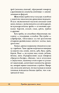 Grzyby rosyjskiego lasu. Ilustrowany przewodnik