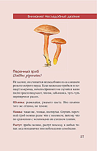 Grzyby rosyjskiego lasu. Ilustrowany przewodnik