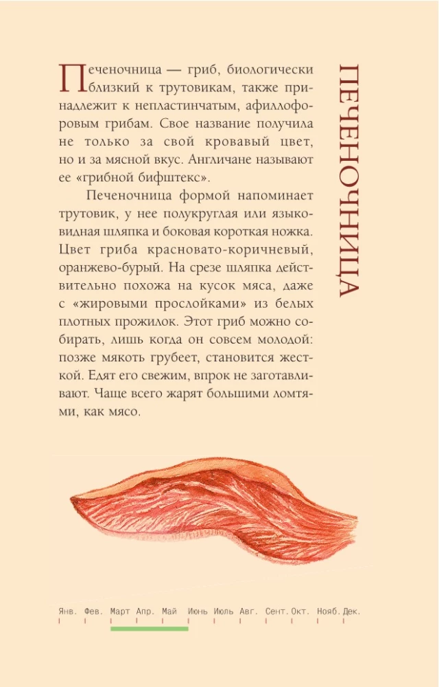 Grzyby rosyjskiego lasu. Ilustrowany przewodnik