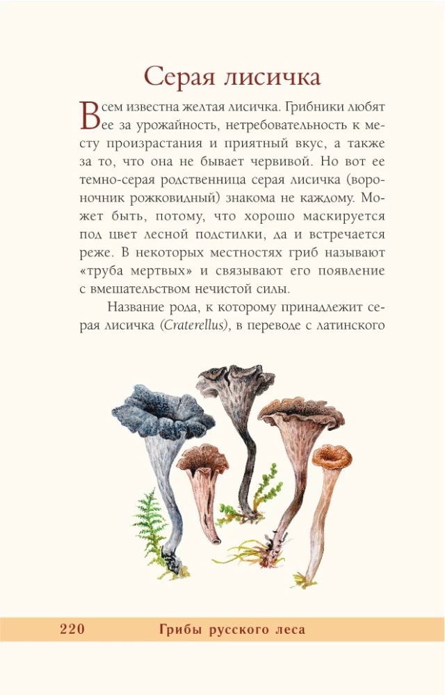 Grzyby rosyjskiego lasu. Ilustrowany przewodnik