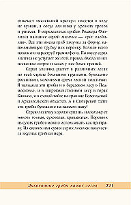 Grzyby rosyjskiego lasu. Ilustrowany przewodnik