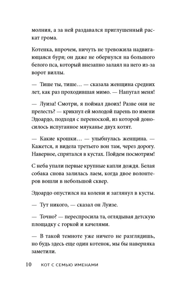 Katė su septyniais vardais. Laimė ateina tiems, kurie tiki stebuklais