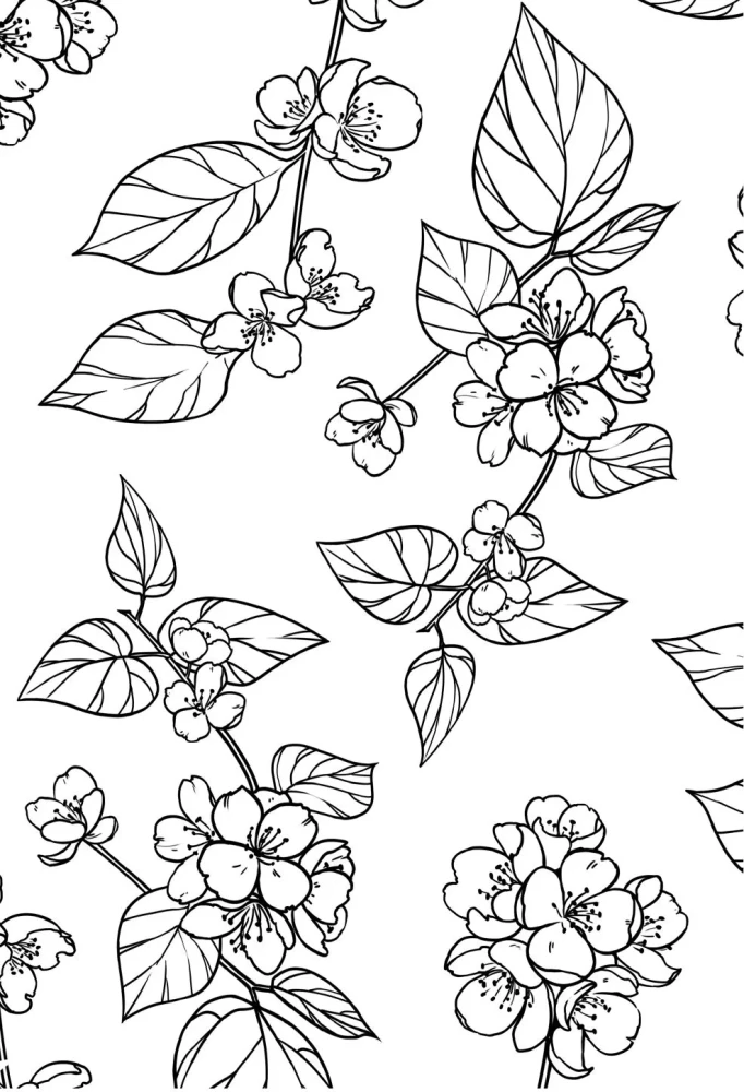 Koven jeziora Champlain. Trylogia