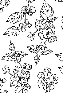 Koven jeziora Champlain. Trylogia